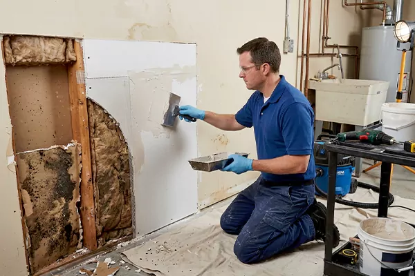 Mold and Drywall Repair Jurupa Valley