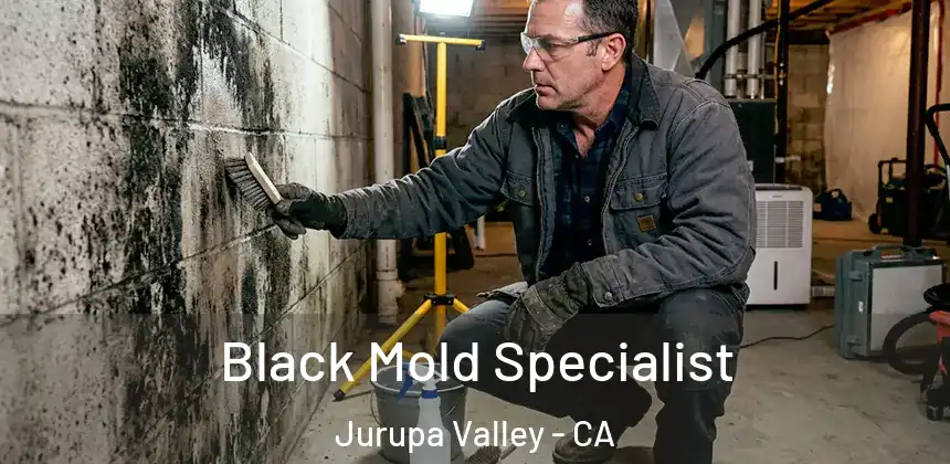 Black Mold Specialist Jurupa Valley - CA
