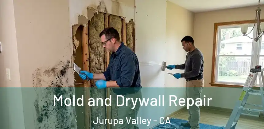 Mold and Drywall Repair Jurupa Valley - CA
