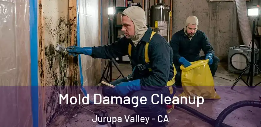 Mold Damage Cleanup Jurupa Valley - CA