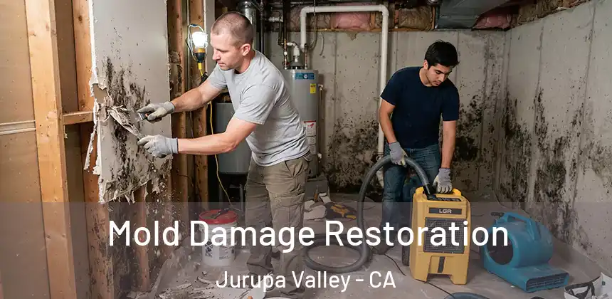 Mold Damage Restoration Jurupa Valley - CA