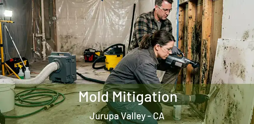 Mold Mitigation Jurupa Valley - CA