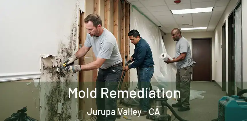 Mold Remediation Jurupa Valley - CA