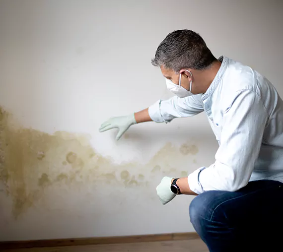Mold Removal Service in Jurupa Valley, CA